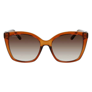 Ferragamo Brown Injected Sunglasses