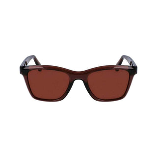 Ferragamo Brown Injected Sunglasses