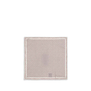 Brunello Cucinelli Multicolor Silk Scarf