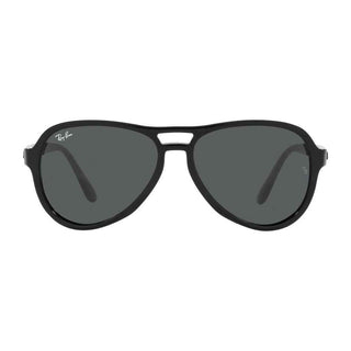 Ray-Ban Black Injected Sunglasses