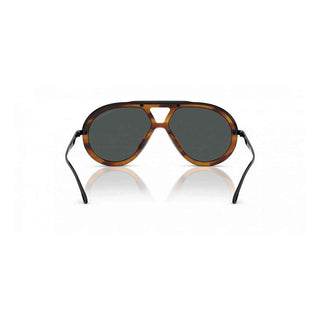 Emporio Armani Brown Acetate Sunglasses