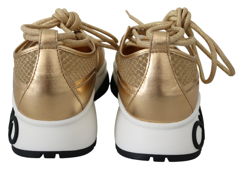 Jimmy Choo Golden Glamour Mesh Leather Sneakers - Ginchy