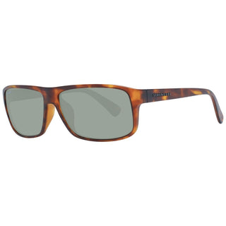 Serengeti Brown Unisex Sunglasses - Ginchy