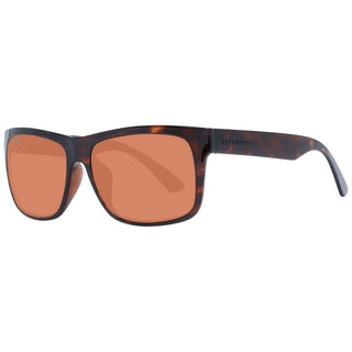 Serengeti Brown Unisex Sunglasses - Ginchy