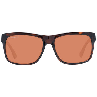 Serengeti Brown Unisex Sunglasses - Ginchy