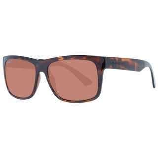 Serengeti Brown Unisex Sunglasses - Ginchy