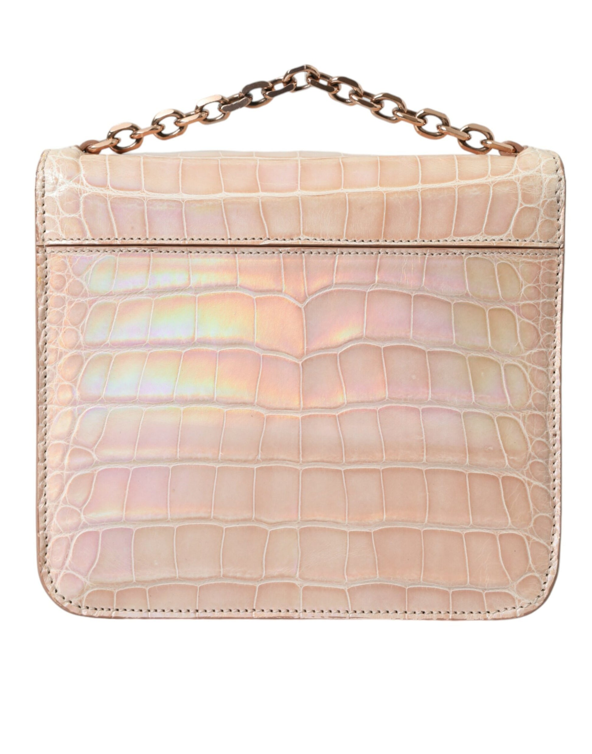 Balenciaga Beige Blue Agate Exotic Leather Gold Chain Purse Bag - Ginchy