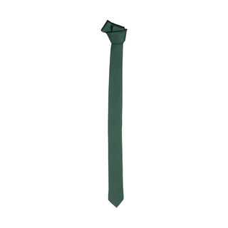 Emilio Romanelli Elegant Green Silk Slim Tie - Ginchy