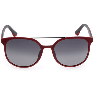 Police Brown Acetate Sunglasses - Ginchy
