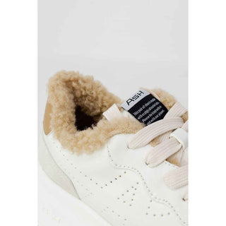ASH Beige Leather Sneaker