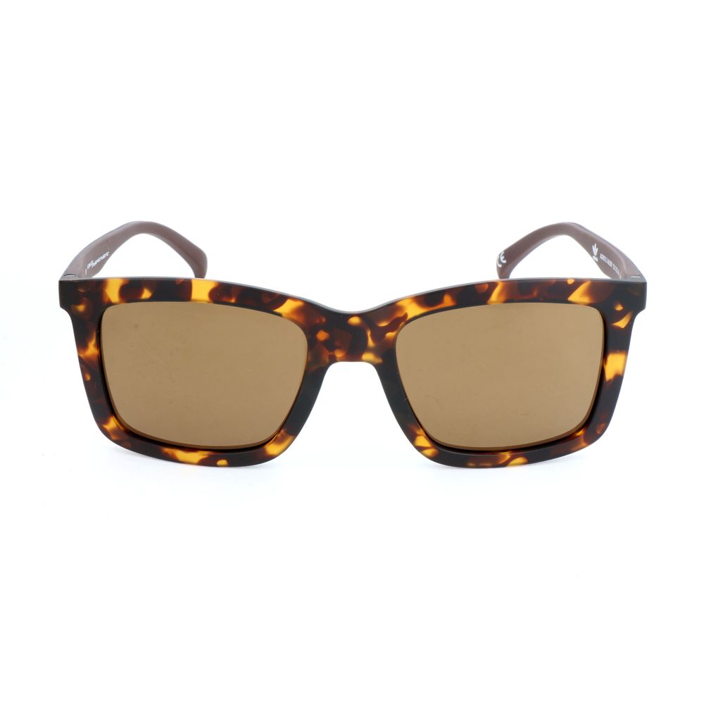 Adidas Brown Acetate Sunglasses - Ginchy