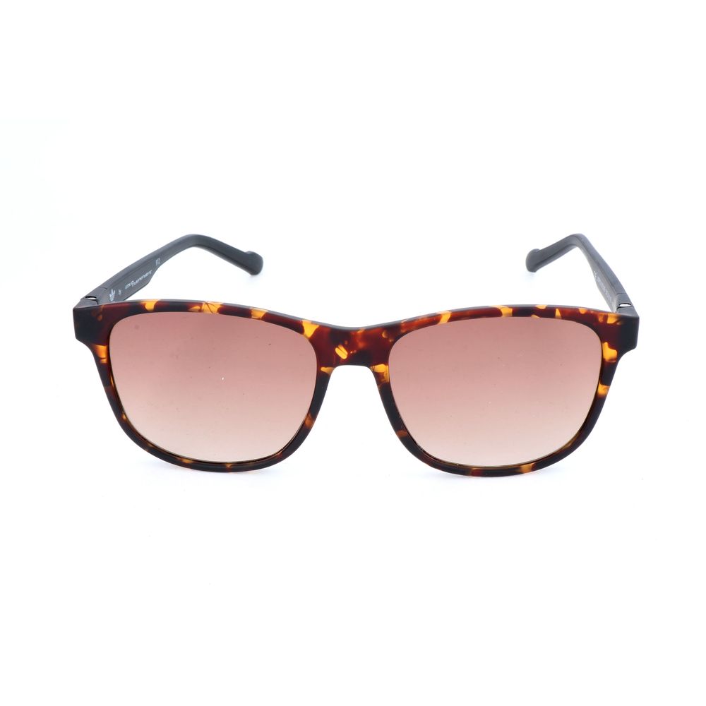 Adidas Bicolor Acetate Sunglasses - Ginchy