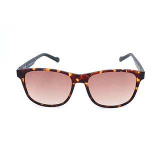 Adidas Bicolor Acetate Sunglasses - Ginchy