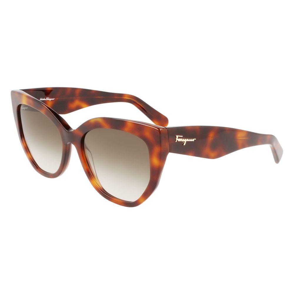 Ferragamo Brown Acetate Sunglasses - Ginchy
