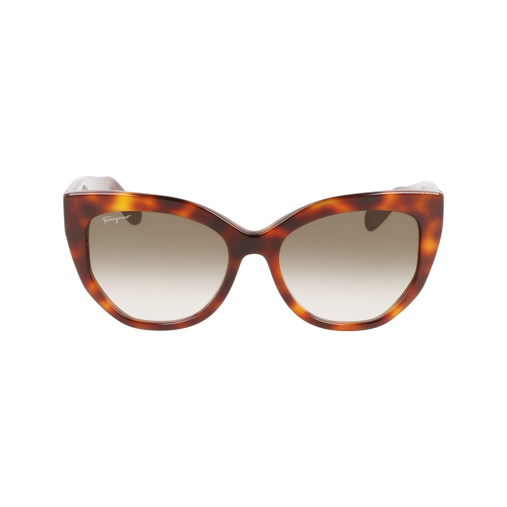 Ferragamo Brown Acetate Sunglasses - Ginchy