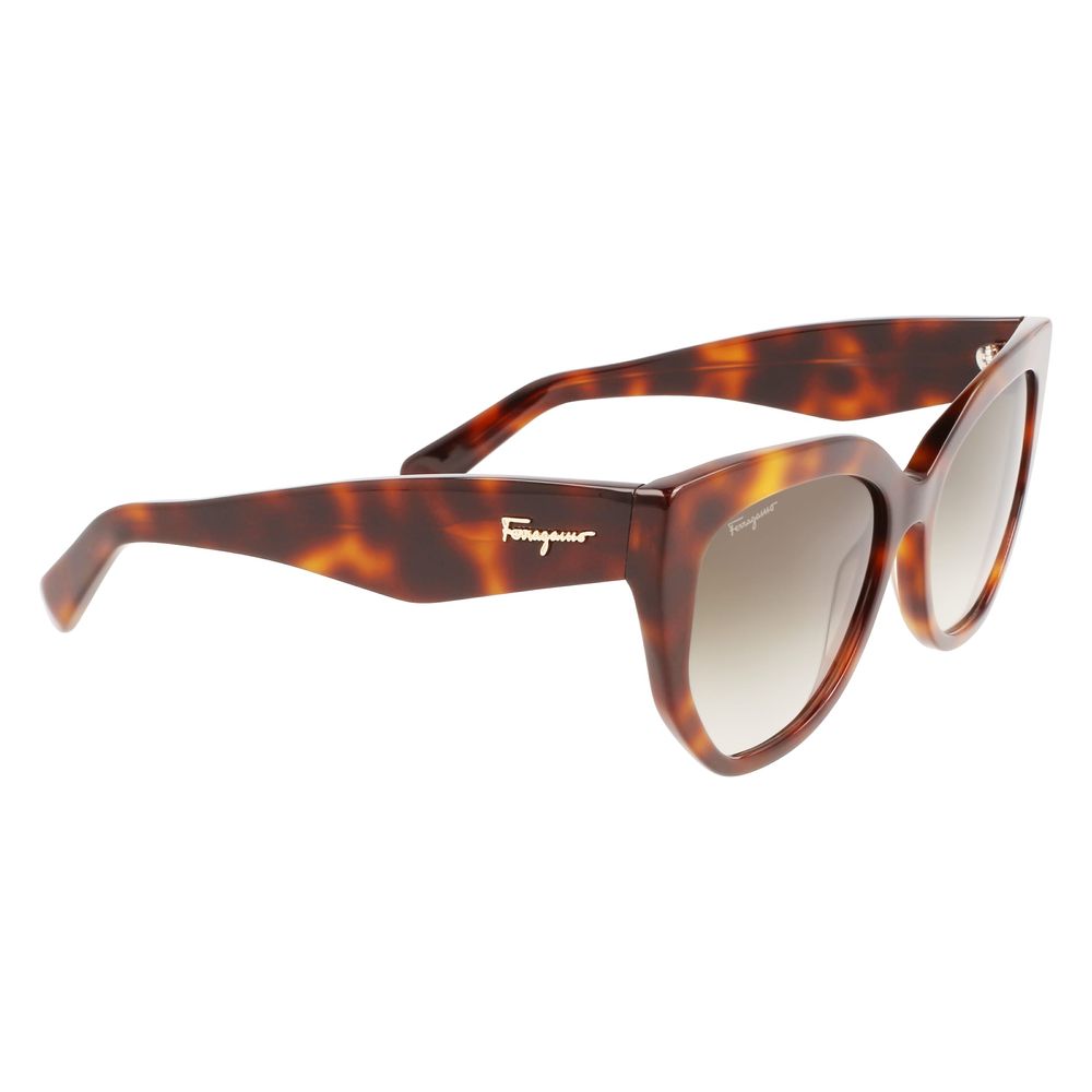 Ferragamo Brown Acetate Sunglasses - Ginchy