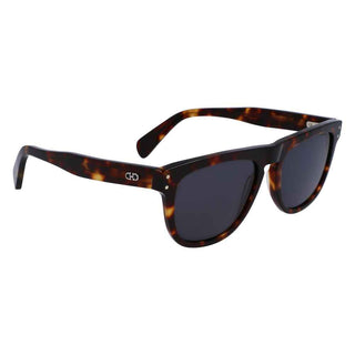 Ferragamo Brown Acetate Sunglasses